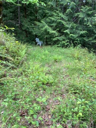 246 N Lakeshore Place , Hoodsport, WA 98548 - Photo 6