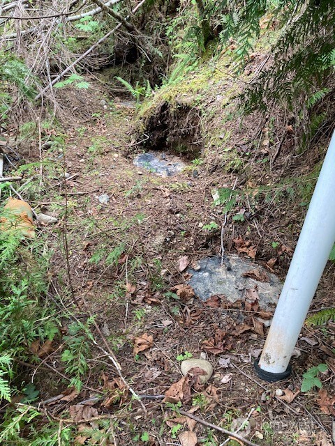 246 N Lakeshore Place , Hoodsport, WA 98548