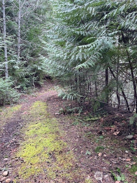 22 Dow Ridge Road , Hoodsport, WA 98548