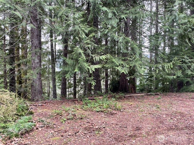 22 Dow Ridge Road , Hoodsport, WA 98548