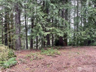 22 Dow Ridge Road , Hoodsport, WA 98548 - Photo 8