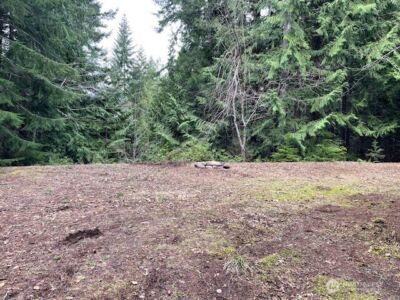 22 Dow Ridge Road , Hoodsport, WA 98548 - Photo 9