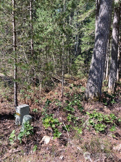 131 N Rainbow Way , Hoodsport, WA 98548