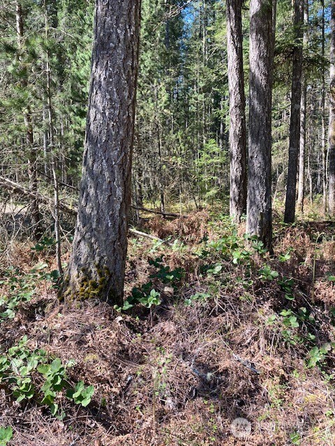 131 N Rainbow Way , Hoodsport, WA 98548