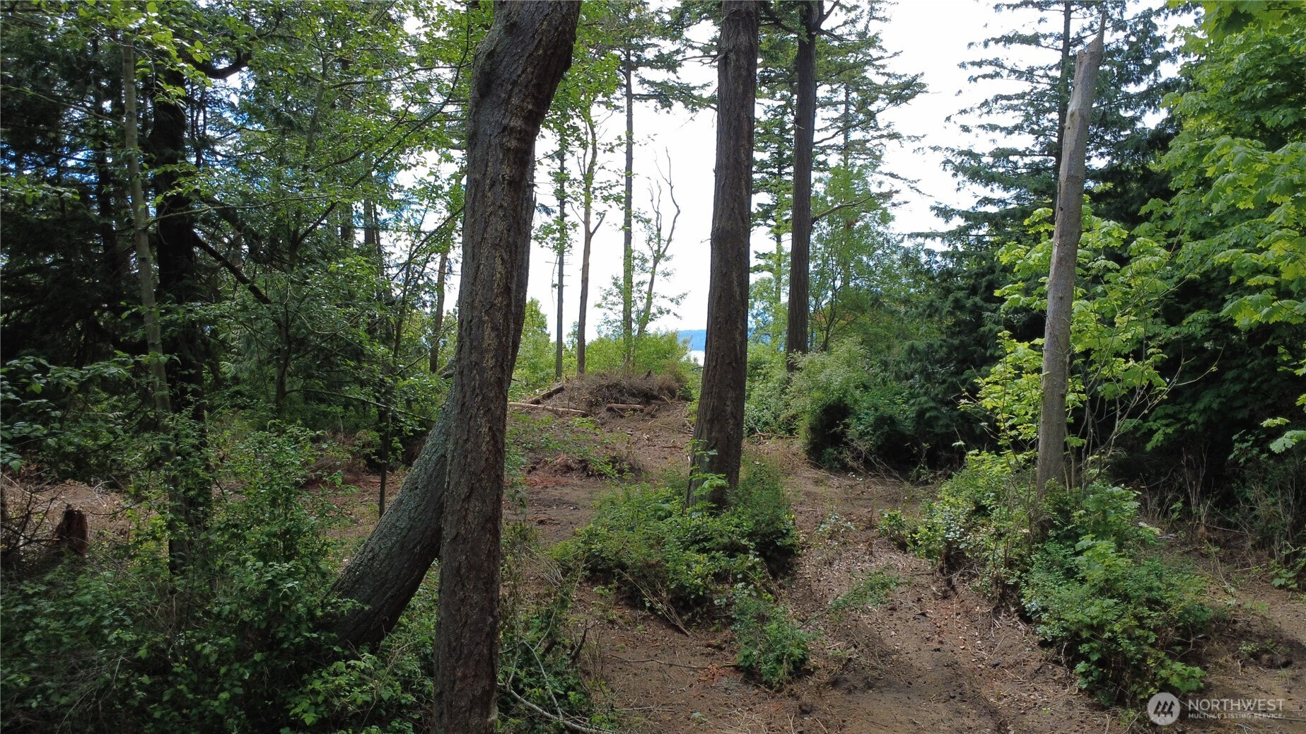 17 W Gedney Way , Hat Island, WA 98206