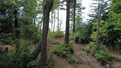 17 W Gedney Way , Hat Island, WA 98206 - Photo 2