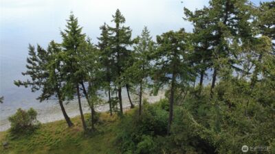 17 W Gedney Way , Hat Island, WA 98206 - Photo 3