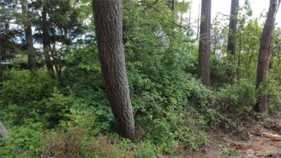 17 W Gedney Way , Hat Island, WA 98206 - Photo 4