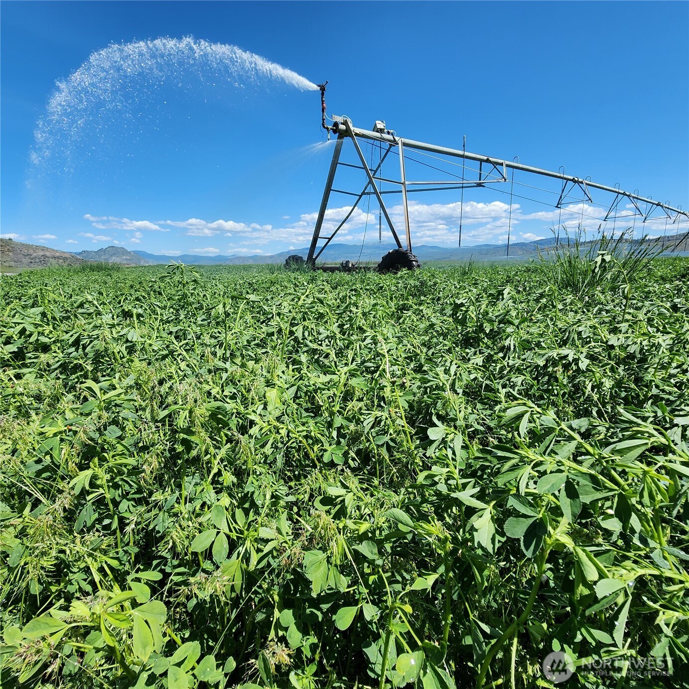 2034 Pine Creek Road , Tonasket, WA 98855