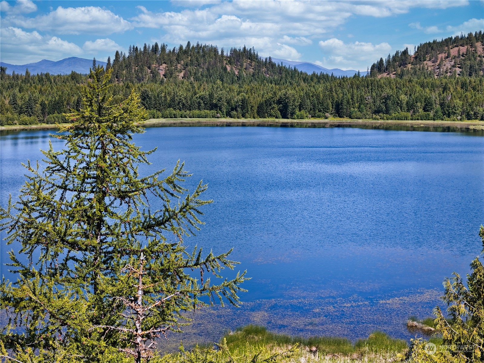 631 Deeter , Newport, WA 99156