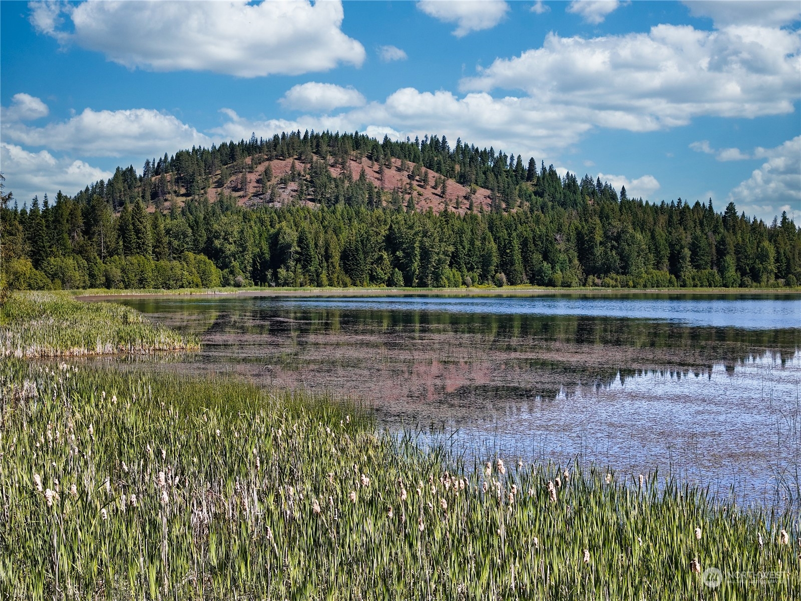 631 Deeter , Newport, WA 99156