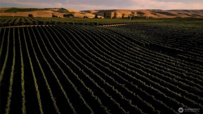 83996 Edwards Road , Milton-Freewater, OR 97862 - Photo 3