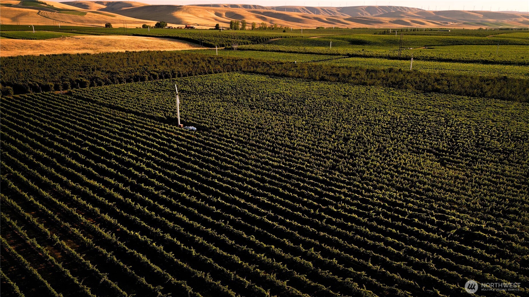 129650 Edwards Road , Milton-Freewater, OR 97862