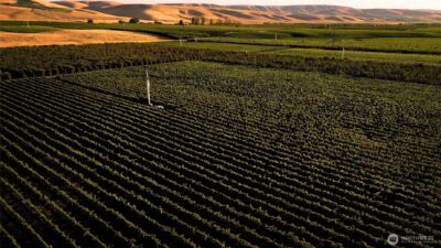 129650 Edwards Road , Milton-Freewater, OR 97862 - Photo 6