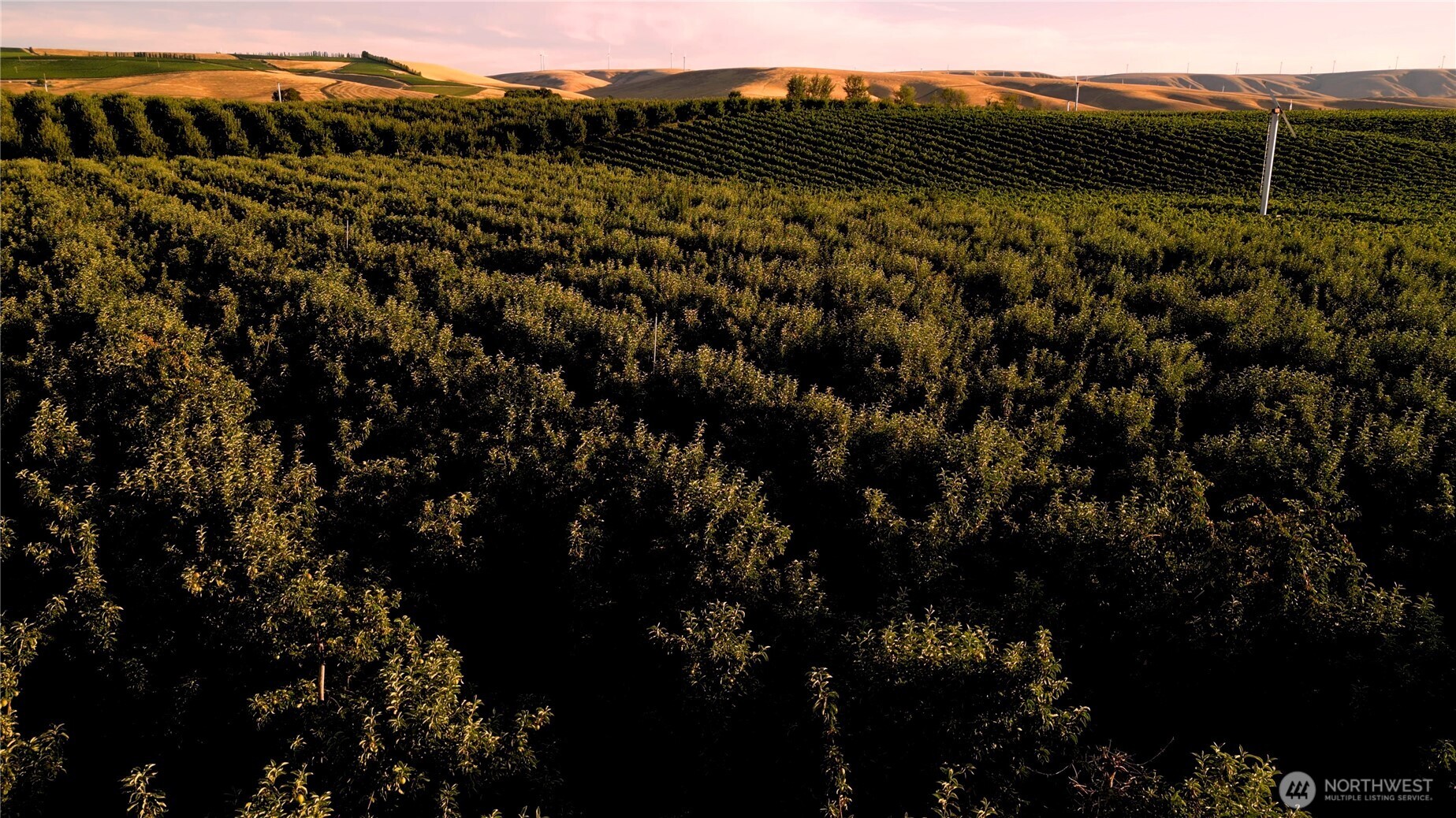 129650 Edwards Road , Milton-Freewater, OR 97862