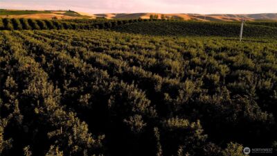 129650 Edwards Road , Milton-Freewater, OR 97862 - Photo 7