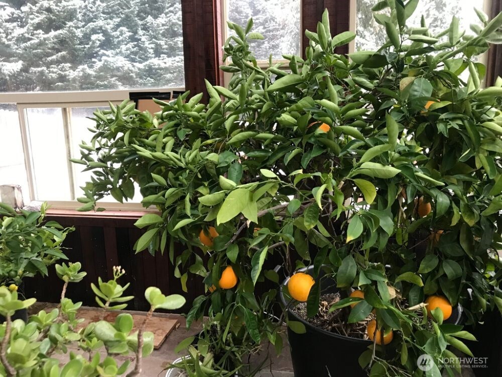 14405 SW Pohl Road , Vashon, WA 98070