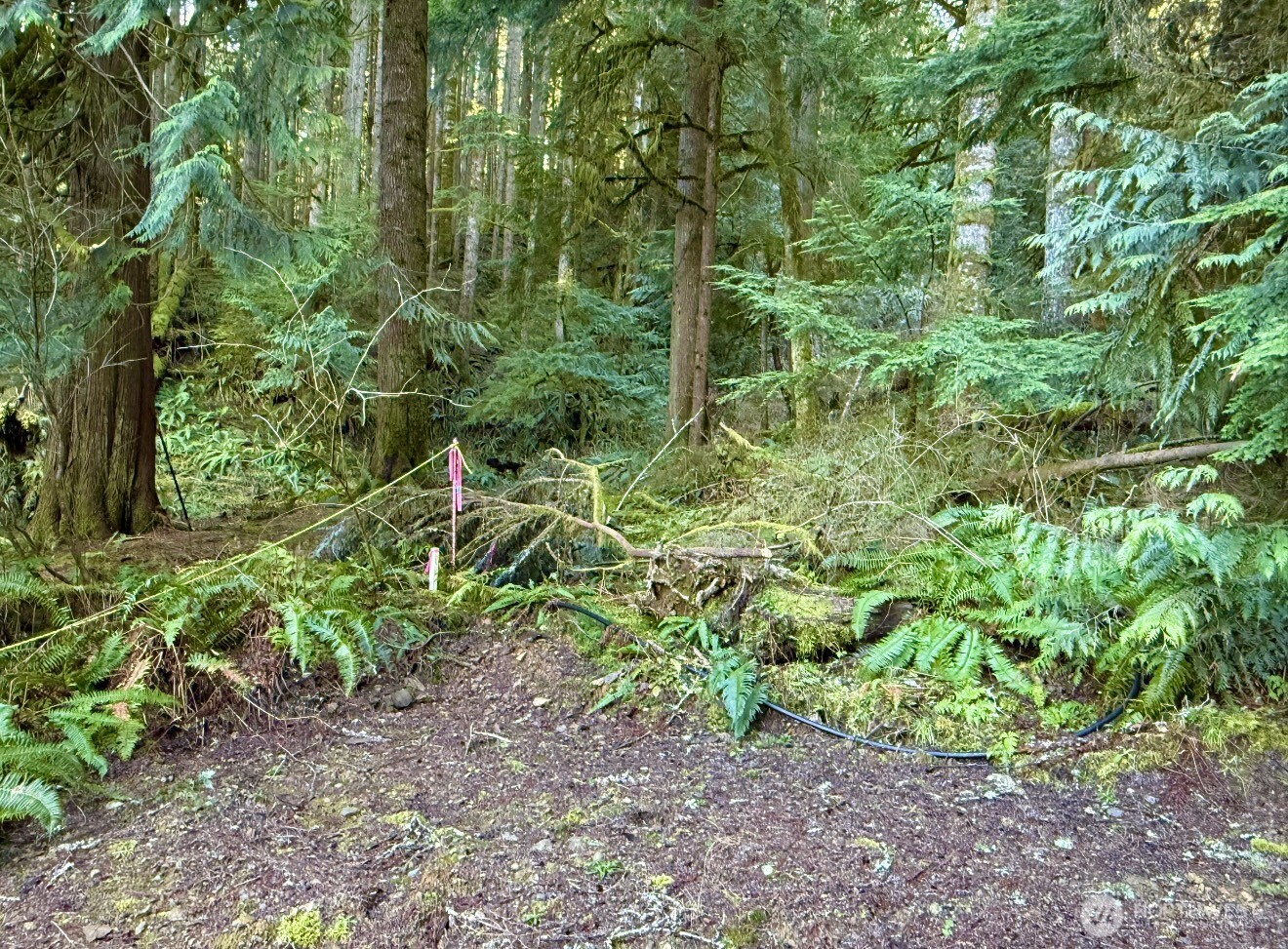 34750 S Shore Drive , Mount Vernon, WA 98274