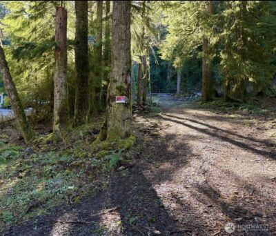 34750 S Shore Drive , Mount Vernon, WA 98274 - Photo 11