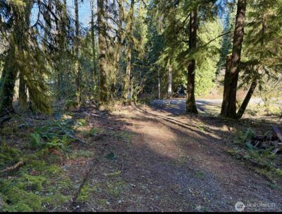 34750 S Shore Drive , Mount Vernon, WA 98274 - Photo 12