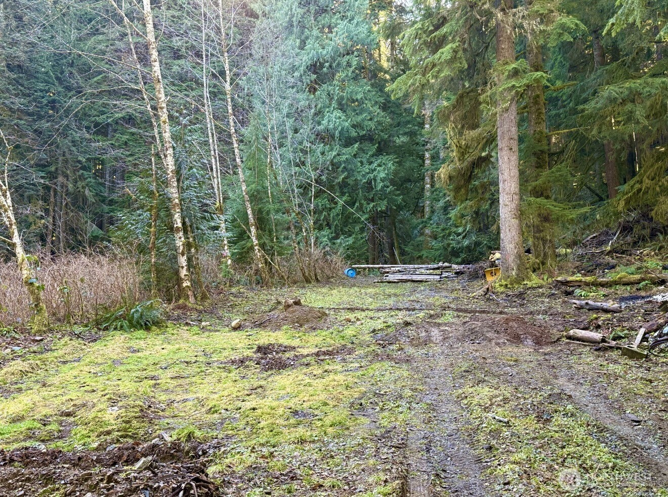 34750 S Shore Drive , Mount Vernon, WA 98274