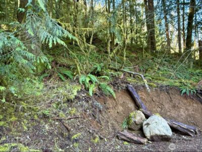 34750 S Shore Drive , Mount Vernon, WA 98274 - Photo 15