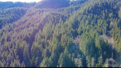 34750 S Shore Drive , Mount Vernon, WA 98274 - Photo 16