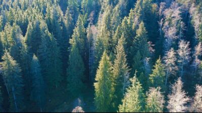 34750 S Shore Drive , Mount Vernon, WA 98274 - Photo 17