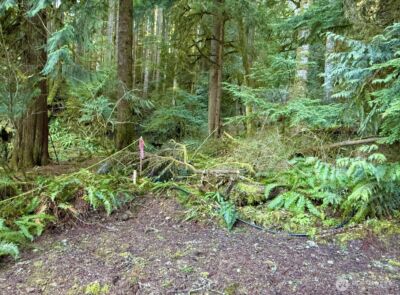 34750 S Shore Drive , Mount Vernon, WA 98274 - Photo 2