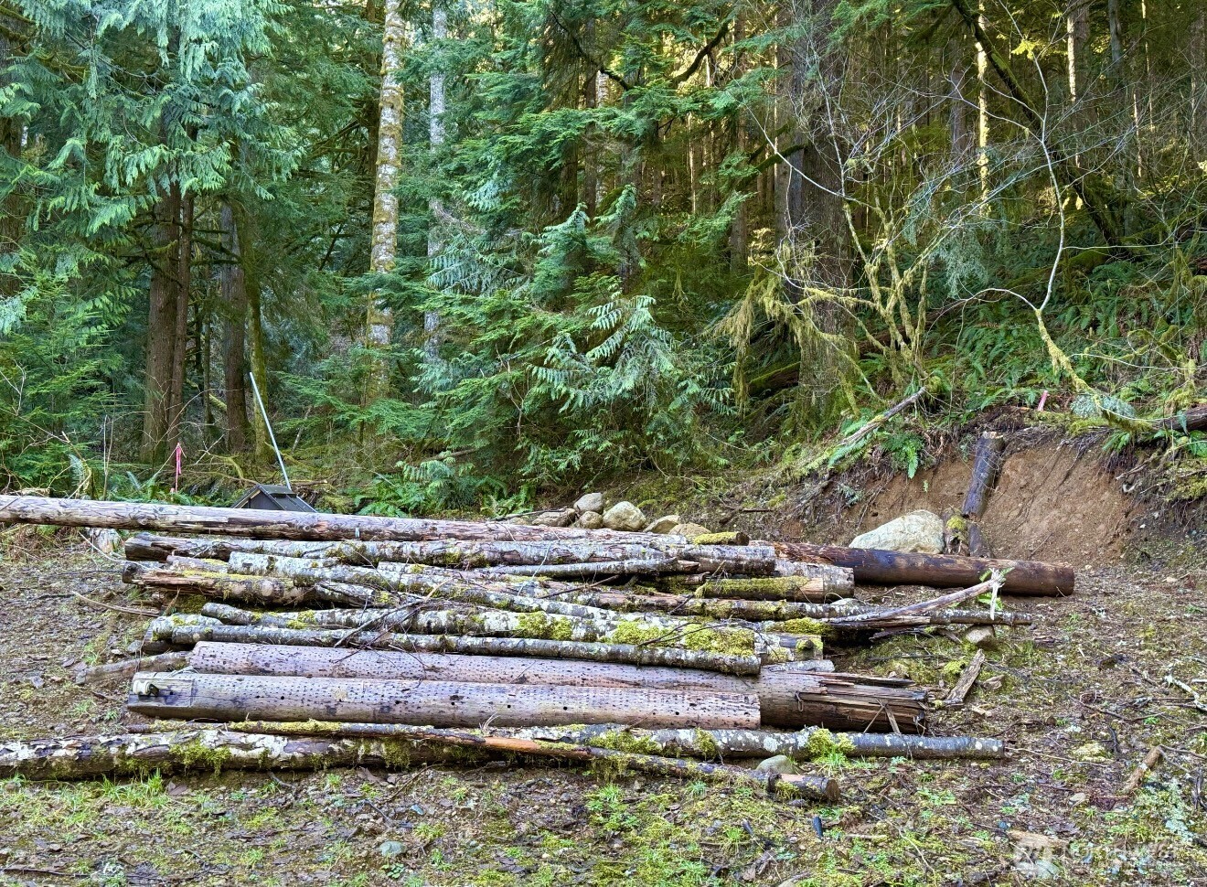 34750 S Shore Drive , Mount Vernon, WA 98274