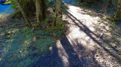 34750 S Shore Drive , Mount Vernon, WA 98274 - Photo 5