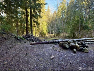 34750 S Shore Drive , Mount Vernon, WA 98274 - Photo 6