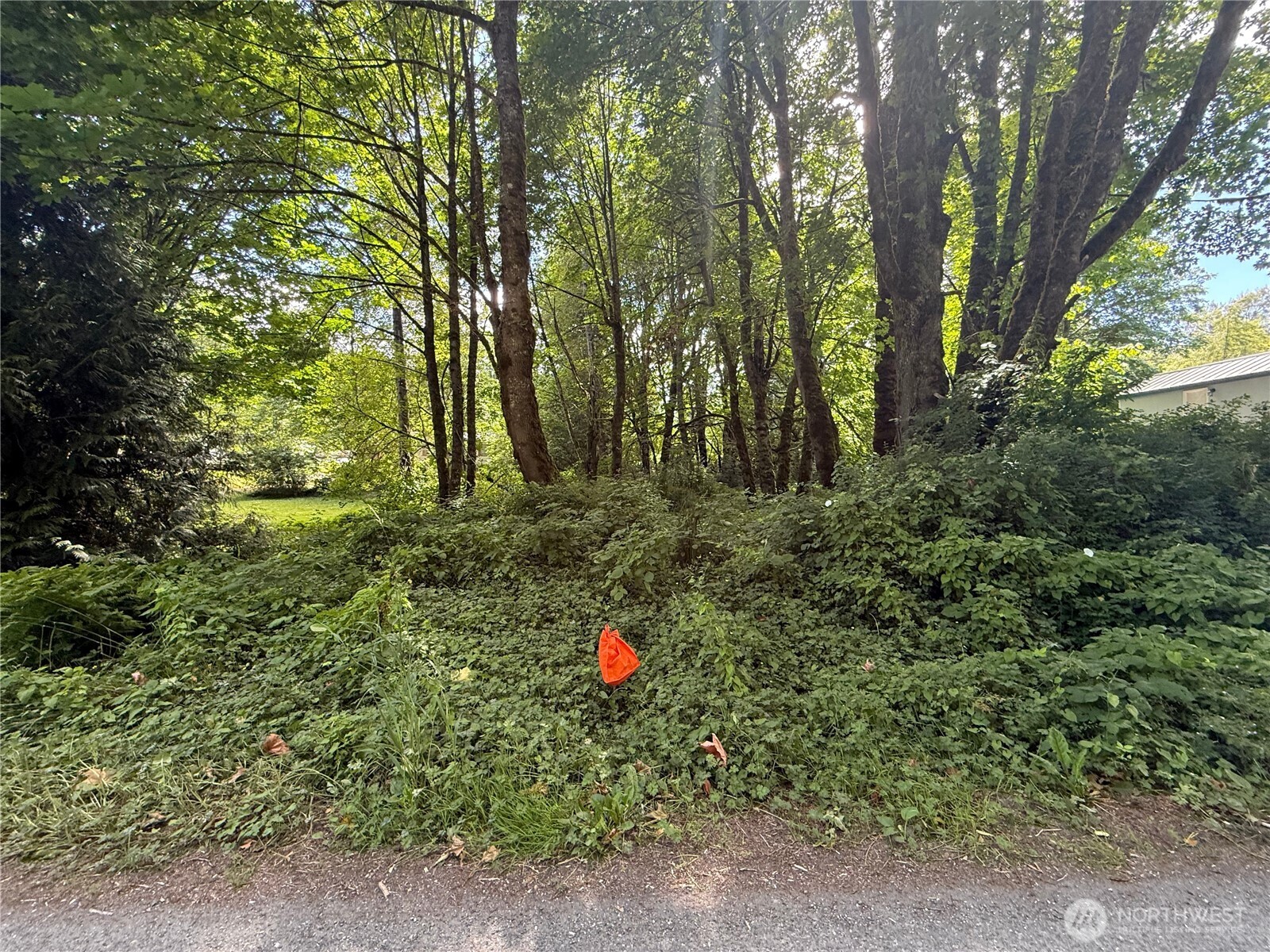 0 Cape Horn Drive , Concrete, WA 98237