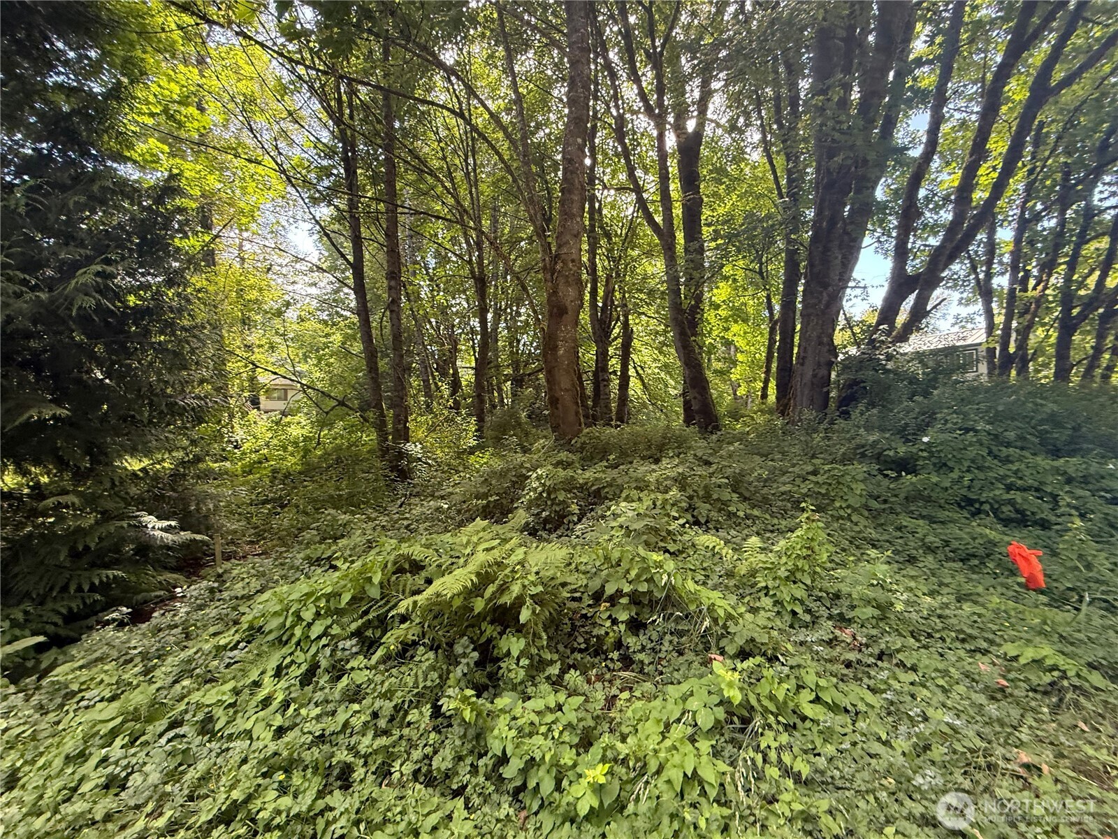 0 Cape Horn Drive , Concrete, WA 98237