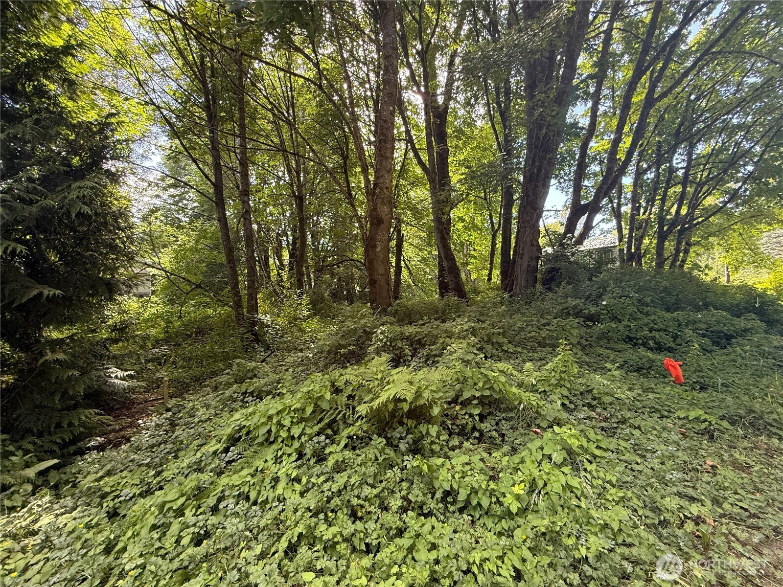 0 Cape Horn Drive , Concrete, WA 98237