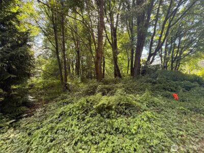 0 Cape Horn Drive , Concrete, WA 98237 - Photo 4