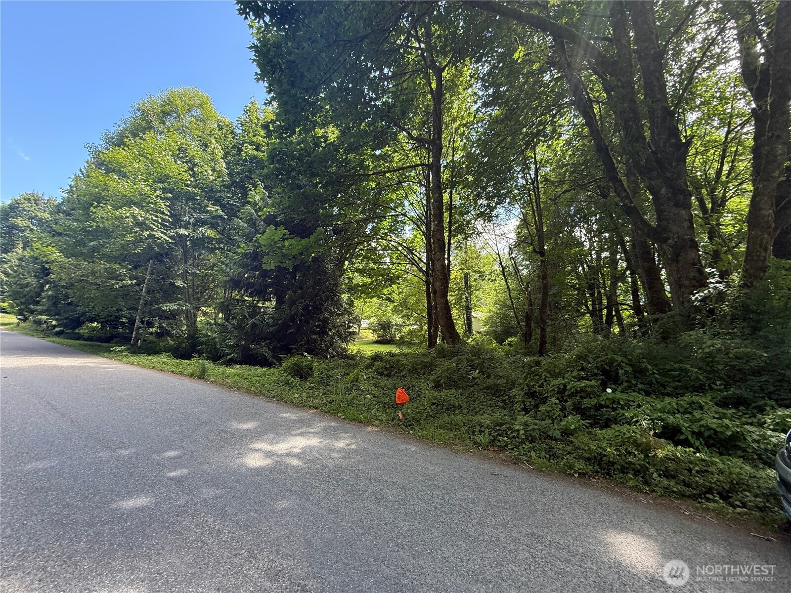 0 Cape Horn Drive , Concrete, WA 98237