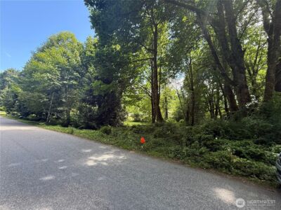 0 Cape Horn Drive , Concrete, WA 98237 - Photo 5