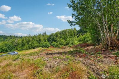 1830 Hazel Dell Road #Lot 1, Castle Rock, WA 98611 - Photo 11