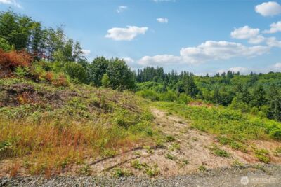 1830 Hazel Dell Road #Lot 1, Castle Rock, WA 98611 - Photo 13