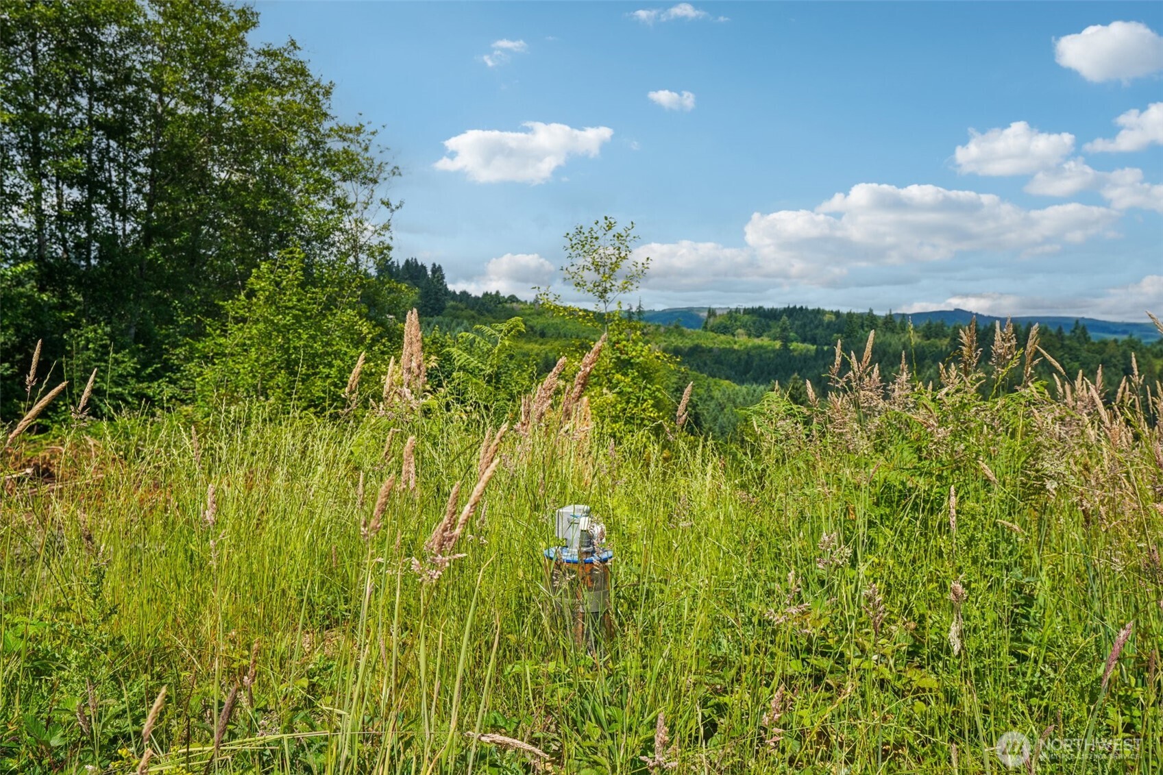 1830 Hazel Dell Road #Lot 1, Castle Rock, WA 98611