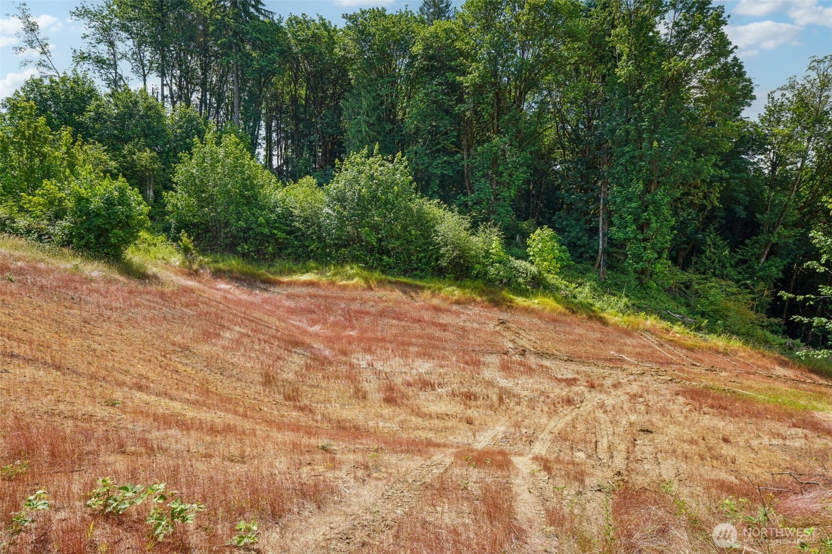 1830 Hazel Dell Road #Lot 1, Castle Rock, WA 98611