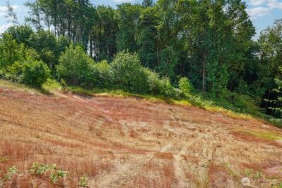 1830 Hazel Dell Road #Lot 1, Castle Rock, WA 98611 - Photo 8