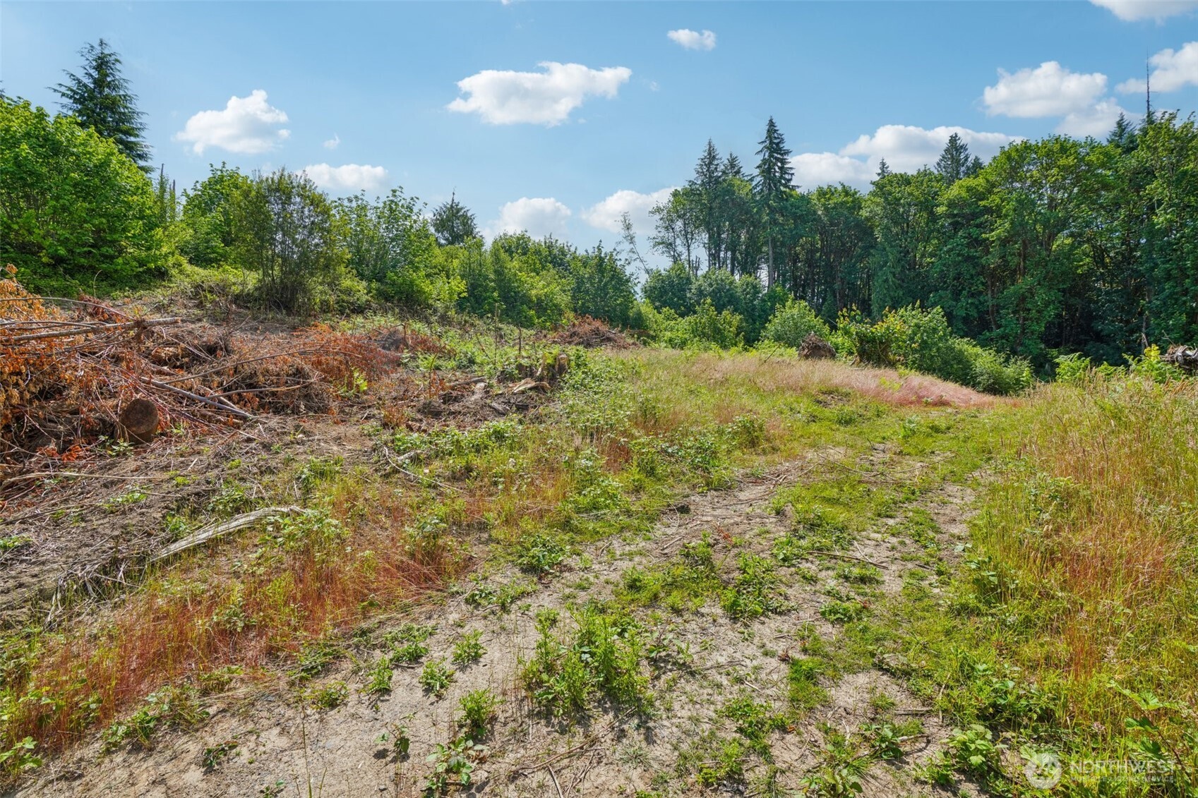 1830 Hazel Dell Road #Lot 1, Castle Rock, WA 98611