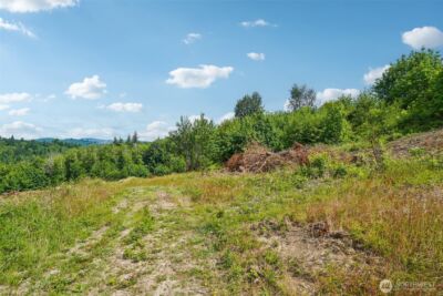 1830 Hazel Dell Road #Lot 4, Castle Rock, WA 98611 - Photo 11