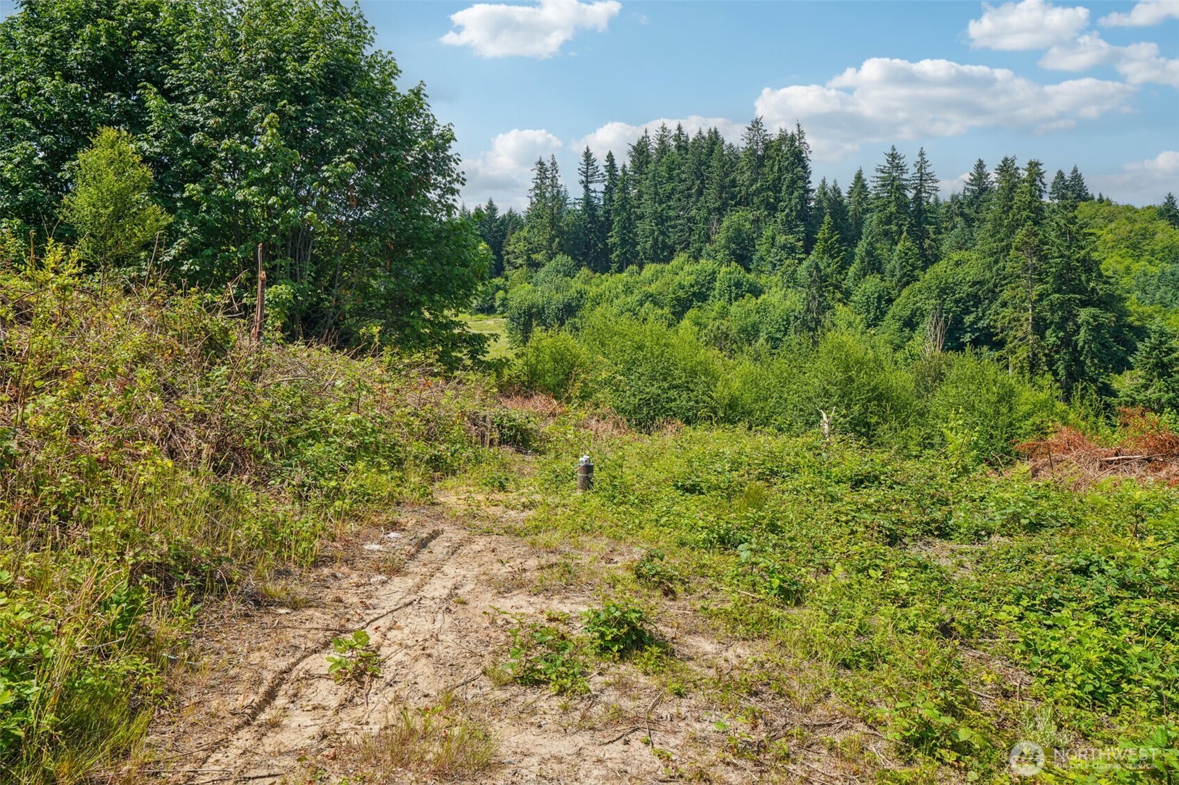1830 Hazel Dell Road #Lot 4, Castle Rock, WA 98611