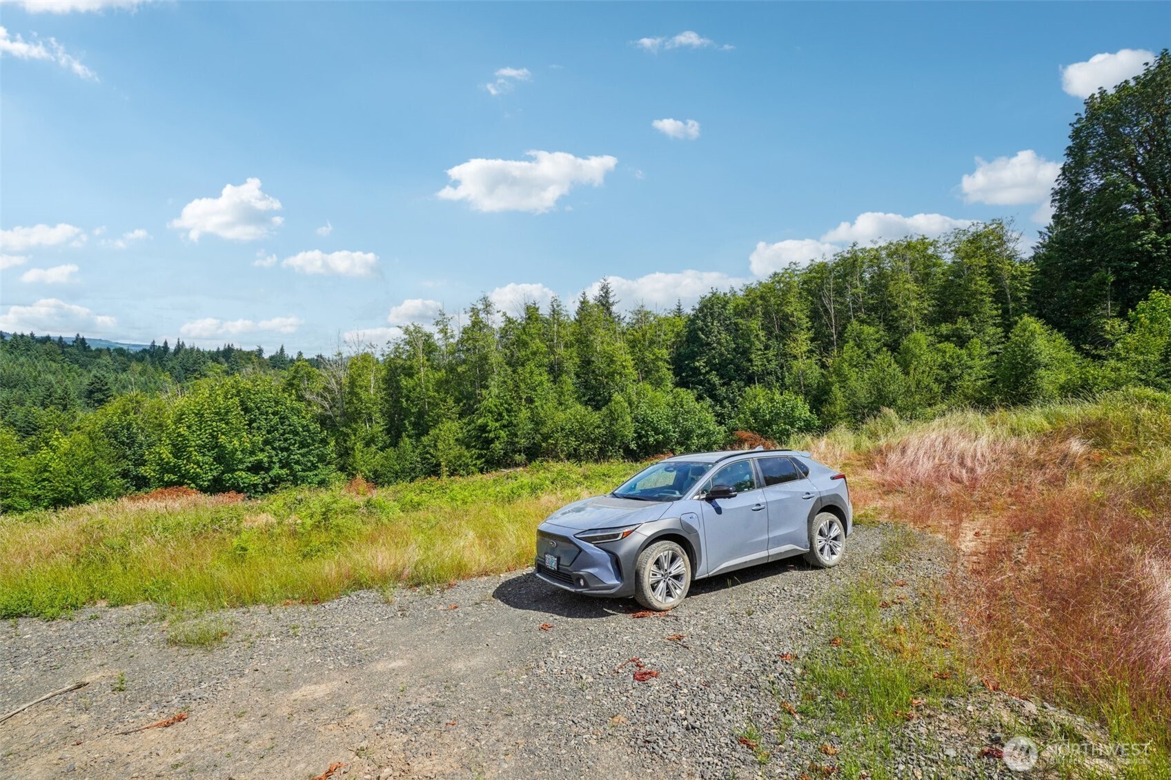 1830 Hazel Dell Road #Lot 4, Castle Rock, WA 98611