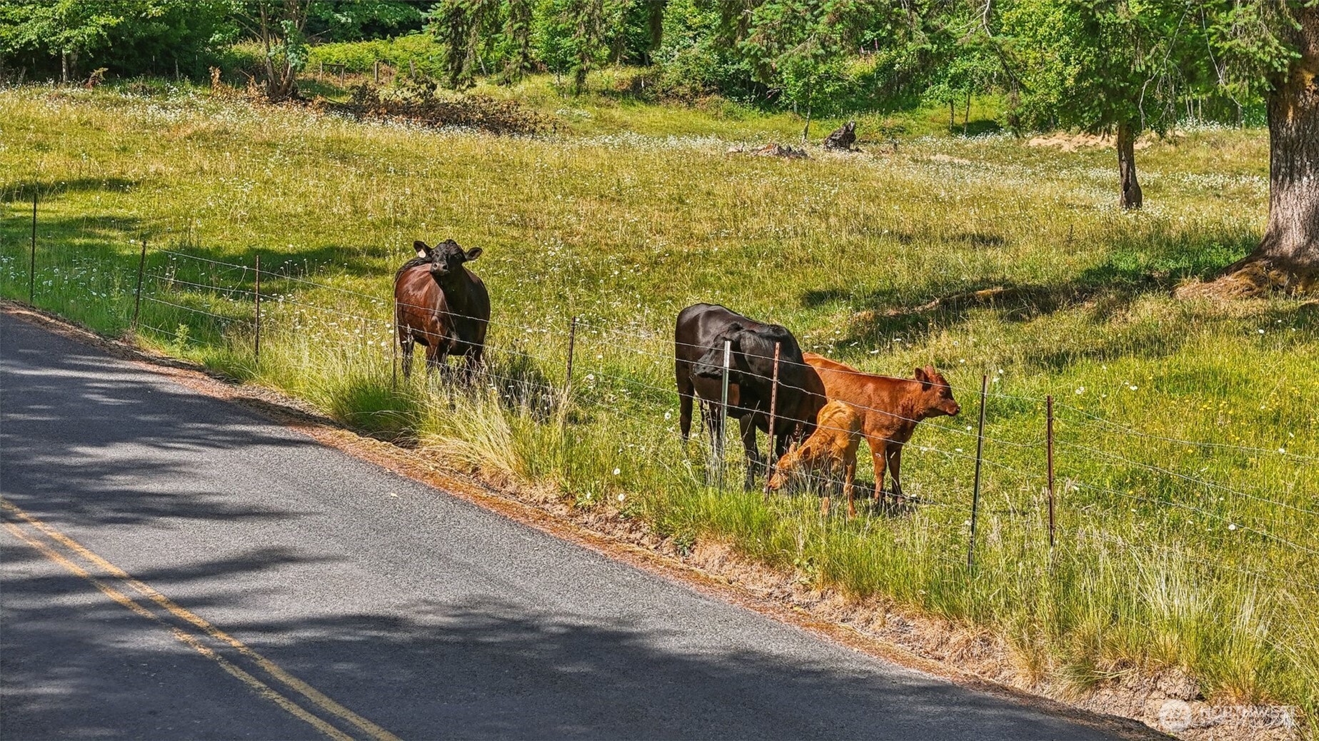 1830 Hazel Dell Road #Lot 4, Castle Rock, WA 98611