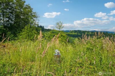 1830 Hazel Dell Road #Lot 4, Castle Rock, WA 98611 - Photo 6