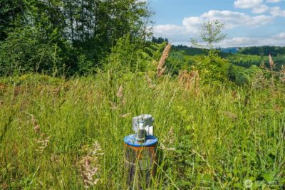 1830 Hazel Dell Road #Lot 4, Castle Rock, WA 98611 - Photo 7